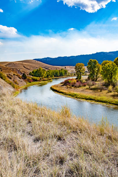 istock Autumn leaves on still river in Montana 2176957315