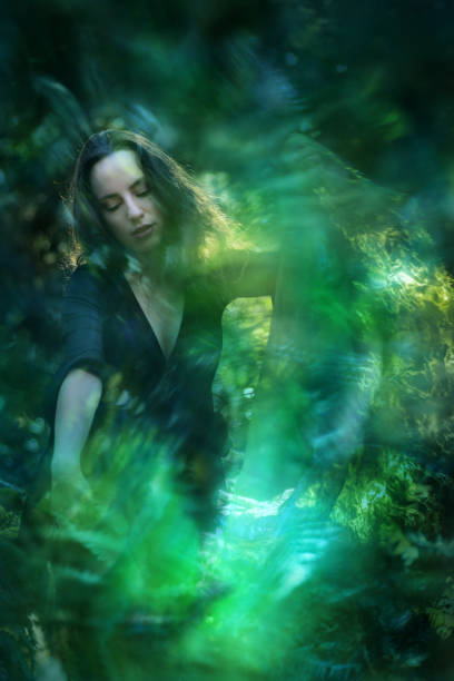 istock Veil of Fern Lights 2176958558