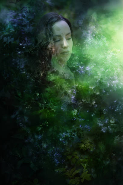 istock Awakening Flower Buds Portrait 2176958565