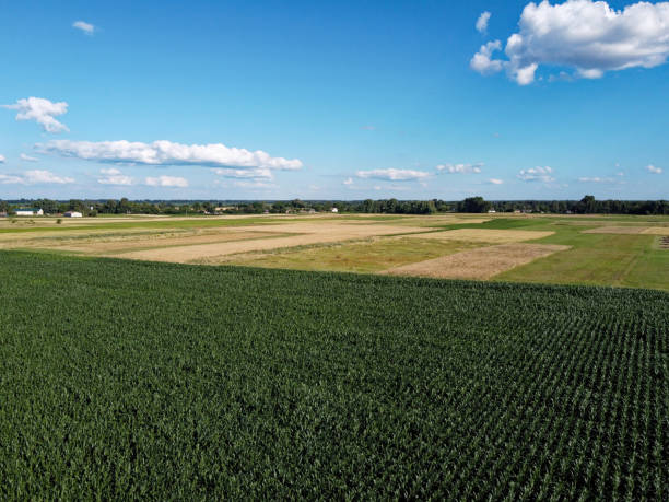 istock Beautiful agricultural landscape, open field with blue sky and white clouds. Farmfields from a bird's eye view. 2176962565