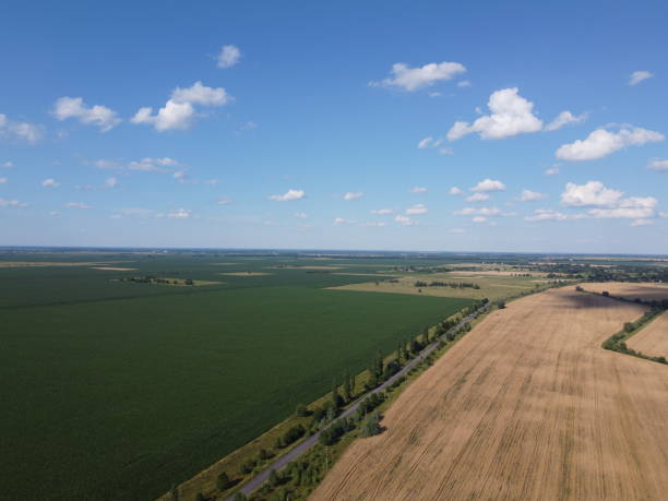istock Beautiful agricultural landscape, open field with blue sky and white clouds. Farmfields from a bird's eye view. 2176962592
