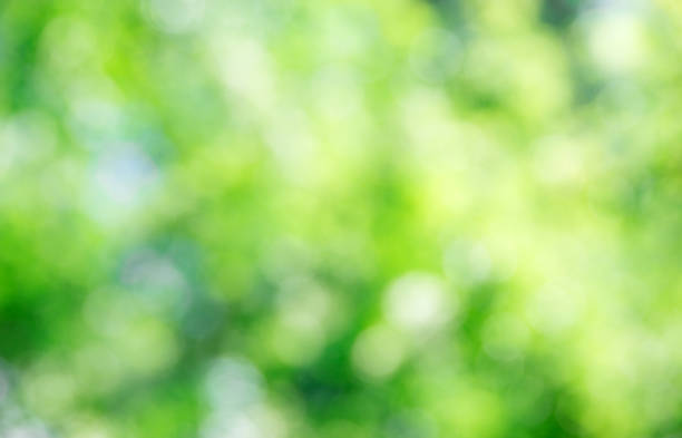 istock green bokeh background,green bokeh,green bokeh abstract 2176963194