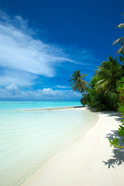 istock beach and tropical sea. beach landscape 2176963242