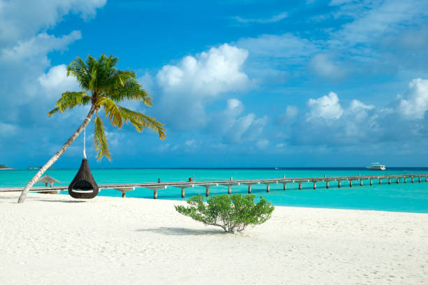 istock beautiful beach and tropical sea 2176963254