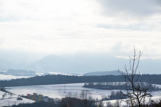 istock Nature under the snow during winter. 2176965365