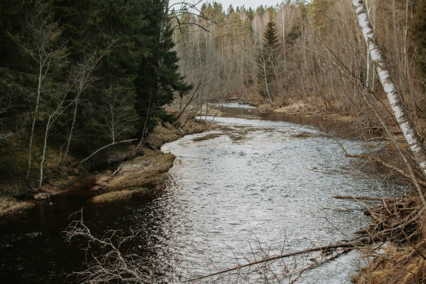 Brasla river, Latvia at early spring