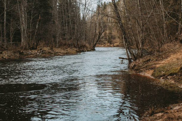 istock Brasla river, Latvia at early spring 2176967313
