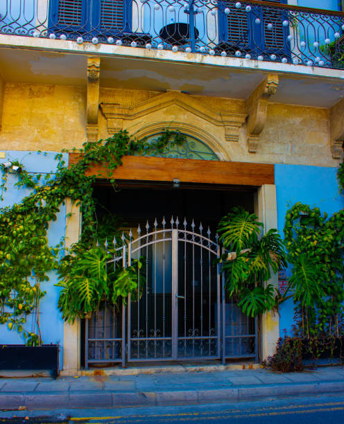 istock Gate in city Limassol 2176970691