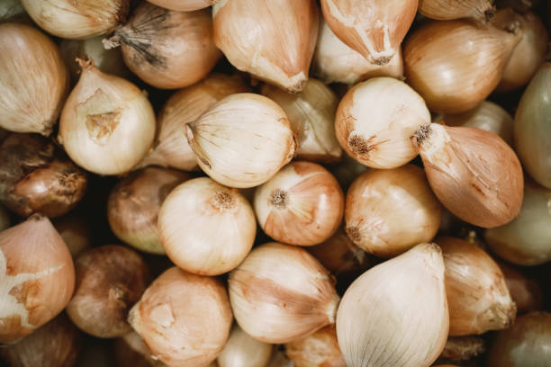 Pile of onions