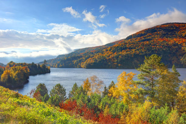 Chain of Ponds is a 705 acre lake located in beautiful Franklin County, Maine