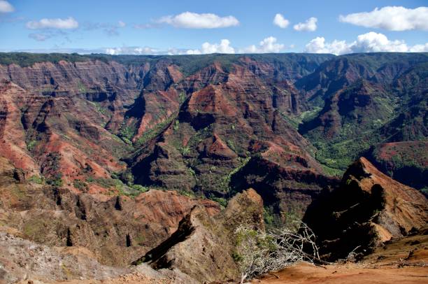 istock Waimea Canyon - clear day 2177004329