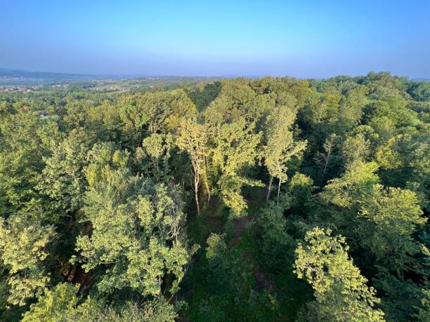 istock View of forests, fields, villages and Zagorje hills, during a panoramic balloon flight over Croatian Zagorje - Croatia (Panoramski let balonom iznad Hrvatskog zagorja - Hrvatska) 2177016821