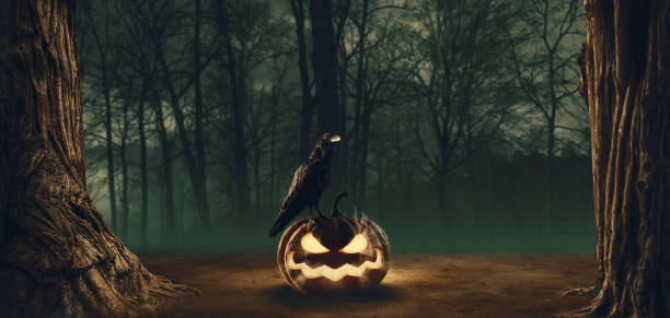 Halloween pumpkin and creepy crow in the forest at night, horror and mystery concept