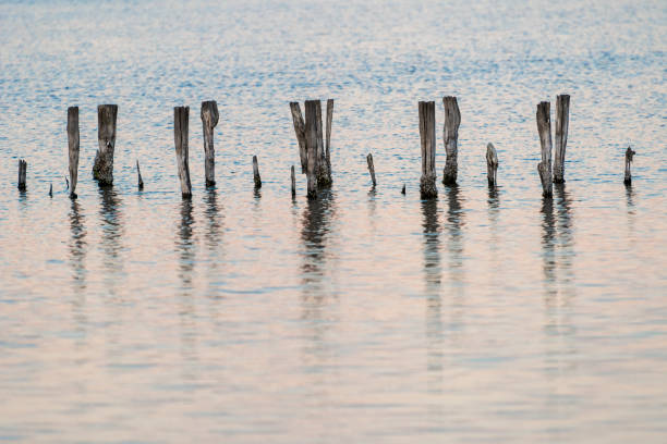 Poles and their reflections in Pomorie's salt lake, before sunset. Burgas province, Bulgaria, Eastern Europe.