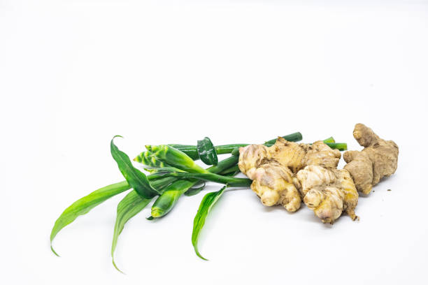 Close up shot of ginger root