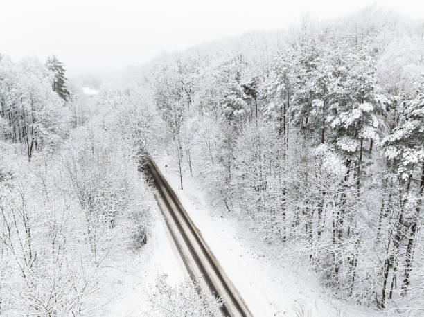 Winter forest after a snowstorm in Poland. Snowy winter in nature.