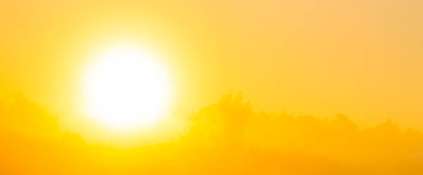 istock Landscape in morning mist at sunrise 2177042858