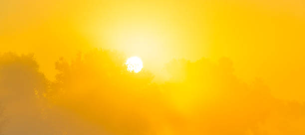 istock Landscape in morning mist at sunrise 2177042868