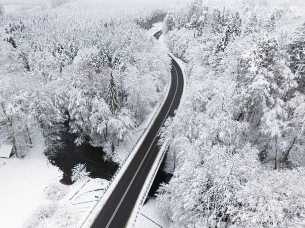 istock Stunning winter forest after a snowstorm in Poland. 2177043726