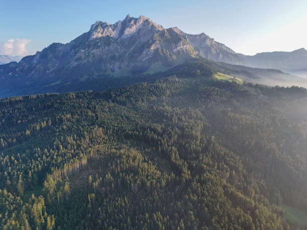 A tranquil morning scene with a majestic mountain partially covered in mist, set against a clear blue sky. The soft light highlights the rugged peaks and lush green slopes.