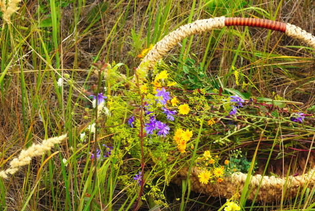 Wild Flowers Basket Full Close-Up Colorful