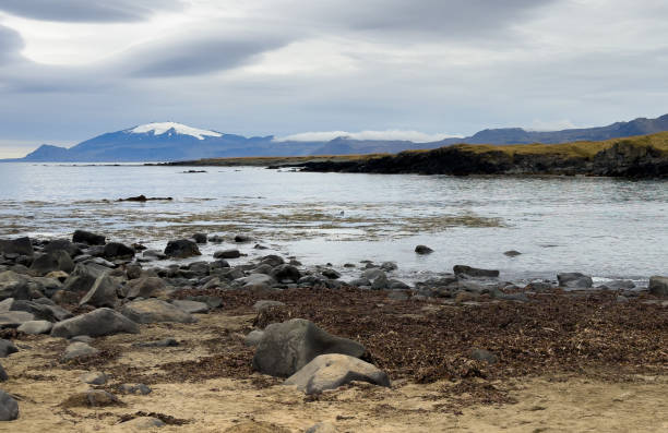 istock Black sand beaches in Iceland 2177052360