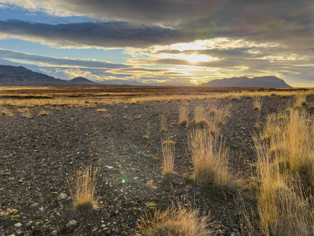 Rocky landscapes showcase the raw beauty of nature, featuring rugged terrains, dramatic cliffs, and vast boulder fields that inspire awe and adventure. These diverse environments, ranging from arid deserts to coastal cliffs, highlight the intricate patterns and textures of stone formations. Perfect for hikers, climbers, and photographers, rocky landscapes provide unique opportunities to explore geological wonders and observe local wildlife. Each scene tells a story of resilience and timelessness, inviting visitors to appreciate the simplicity and grandeur of nature's artistry.
