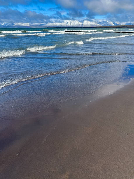 istock Black sand beaches in Iceland 2177052722