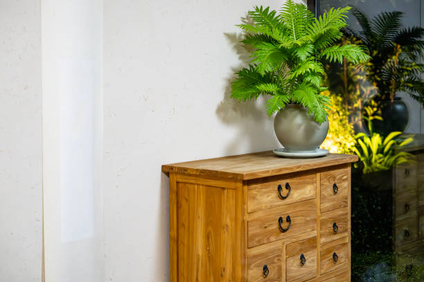 Close-up of Fern pot at home.