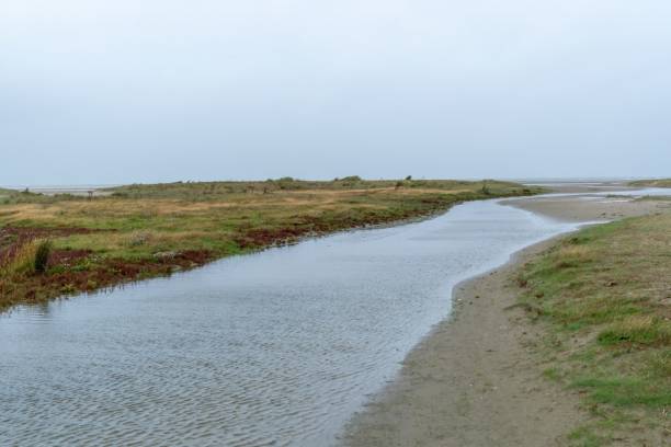istock Outflowing water at low tide on the North Sea 2177055951