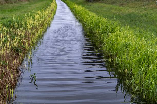 Narrow drainage channel with vegetation at the edge