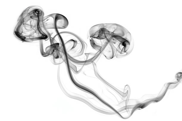 Black smoke on a white background with copy space.