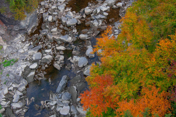 Magnificent autumn landscapes near a river in the Canadian forest in the province of Quebec