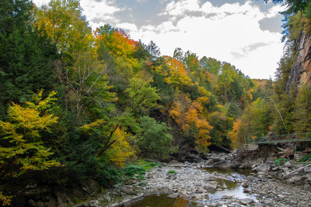istock autumn landscapes near a river 2177066103