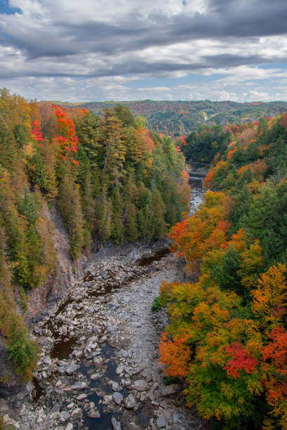 istock autumn landscapes near a river 2177066127