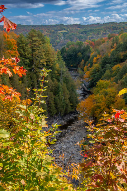 istock autumn landscapes near a river 2177066136
