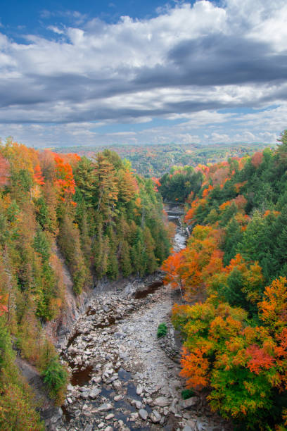 istock autumn landscapes near a river 2177066141
