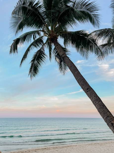 istock Colorful sunset in Ko Samui, Thailand 2177067987
