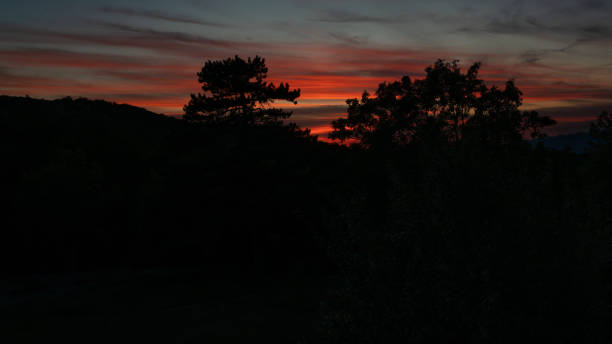 istock Atmospheric afterglow behind trees in silhouette. 2177068169