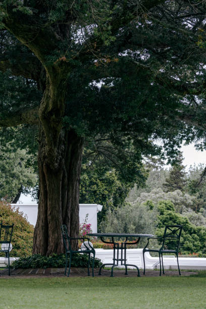 istock Lunch place under the branches of a large tree in courtyard, surrounded by trees and bushes. Plastic outdoor furniture 2177068730