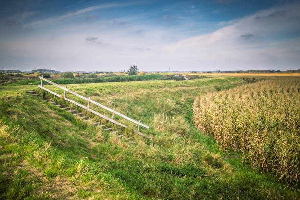 Lunt Meadows Nature Reserve on Merseyside. The large wetland area has some pleasant footpaths taking you to the River Alt