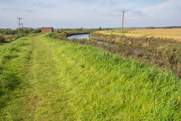 istock Lunt Meadows is a fascinating archaeological site 2177075855