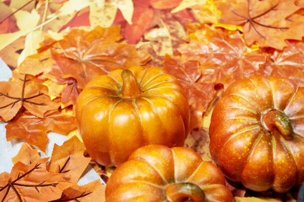 Orange pumpkins and maple leaves for halloween vegetables nature