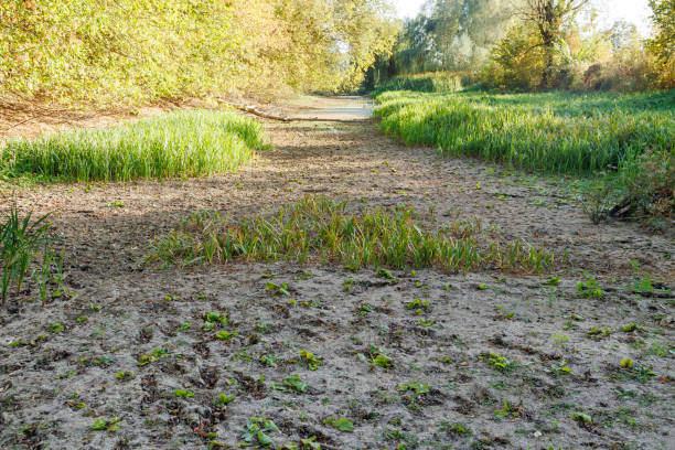 istock Dry river bed. Water bodies are visible. A riverbed with a weak current. Lowering of water level in rivers in summer. The topic of the onset of drought. Romny, Ukraine 2177085342