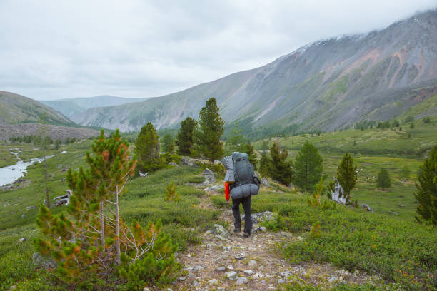 istock Man with big backpack goins along trail in mountain valley among sparse conifer trees in rainy weather. Backpacker on way in open forest in mountains under grey cloudy sky. Lush green alpine flora. 2177087224