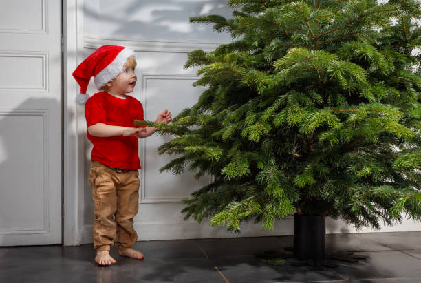 istock Boy in festive Santa hat steps at room with a Christmas tree 2177087909