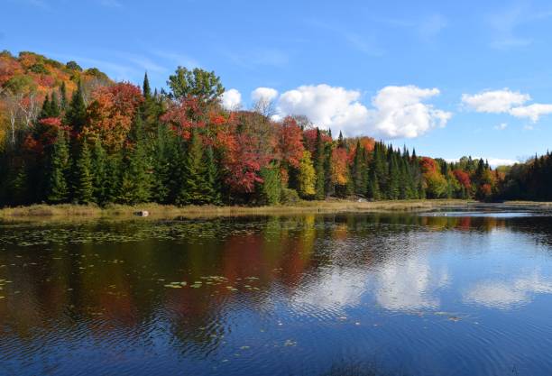 istock Autumn colours at the lake 2177090712