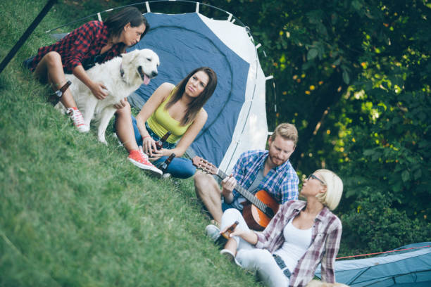 istock Friends on camping in nature with dog 2177091652