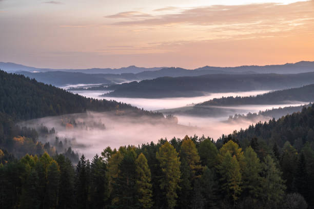 istock Misty Forested Hills at Sunrise 2177091991