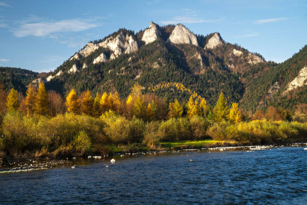 Mountain range with rugged peaks under clear blue sky. Trees with vibrant autumn colors line the riverbank in foreground. River flows calmly past the trees.